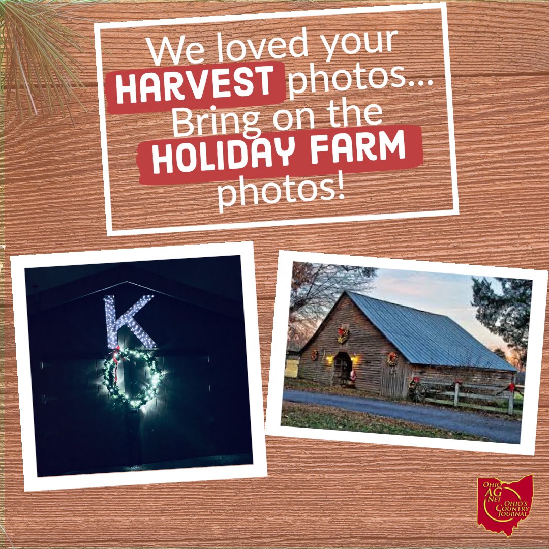 ocj_ohioagnet's tweet photo. Your harvest photos blew us away! Now we want to see what the holidays look like on your farm!
Message or tag us @ocj_ohioagnet with your photos!
#ohioagriculture #ohio #agriculture #holidays #farm #farmnews #farmbroadcasting #rural #farmlife #lights #wreaths #snow #trees https://t.co/CYsR7SS2ar