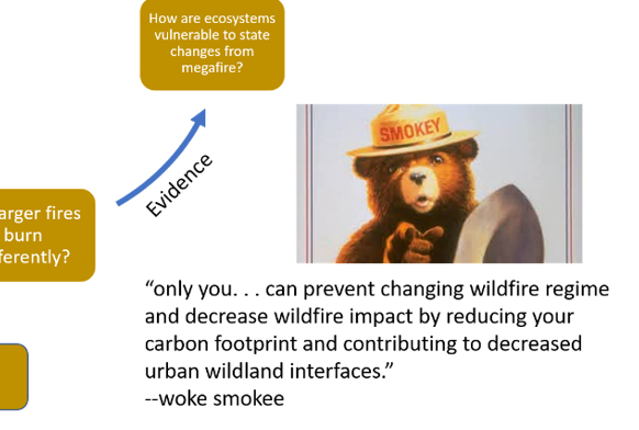 thermokarst's tweet photo. Working with a fabulous team of @BYU undergraduate, graduates, and faculty on a review of novel fire regimes in the Anthropocene. Just came across this gem tucked into the corner of a draft conceptual figure. #CatchyAndConcise https://t.co/fzcJoMZ2Q4