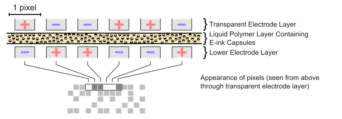 ignoring that some later kindles have backlights/frontlights, standard (electrophoretic) e-paper displays works by having a dark oil with some charged white particles in it. By adjusting the electrical field in the liquid, the light particles move to the front or back