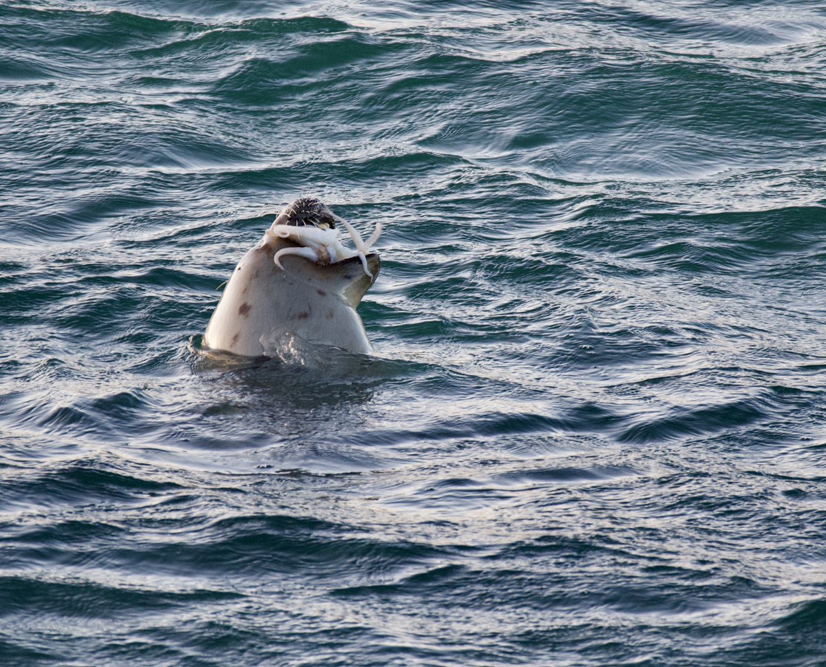 fiona keane tweet media