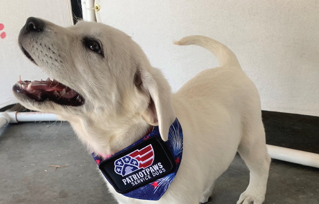 Blue Ribbon News tweet media