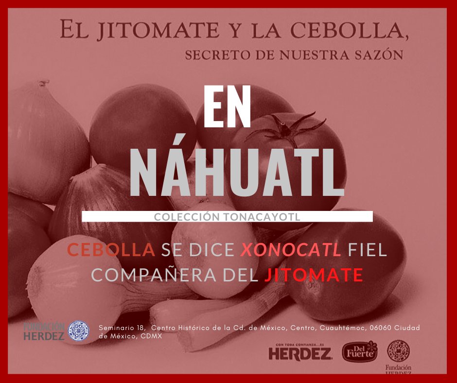 Centro Universitario IESTUR tweet media