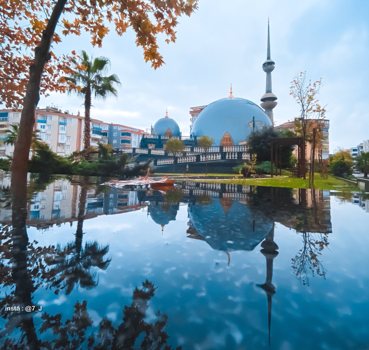 صباح الخير ديسمبر:
أنت الأخير فكن الأفضل.