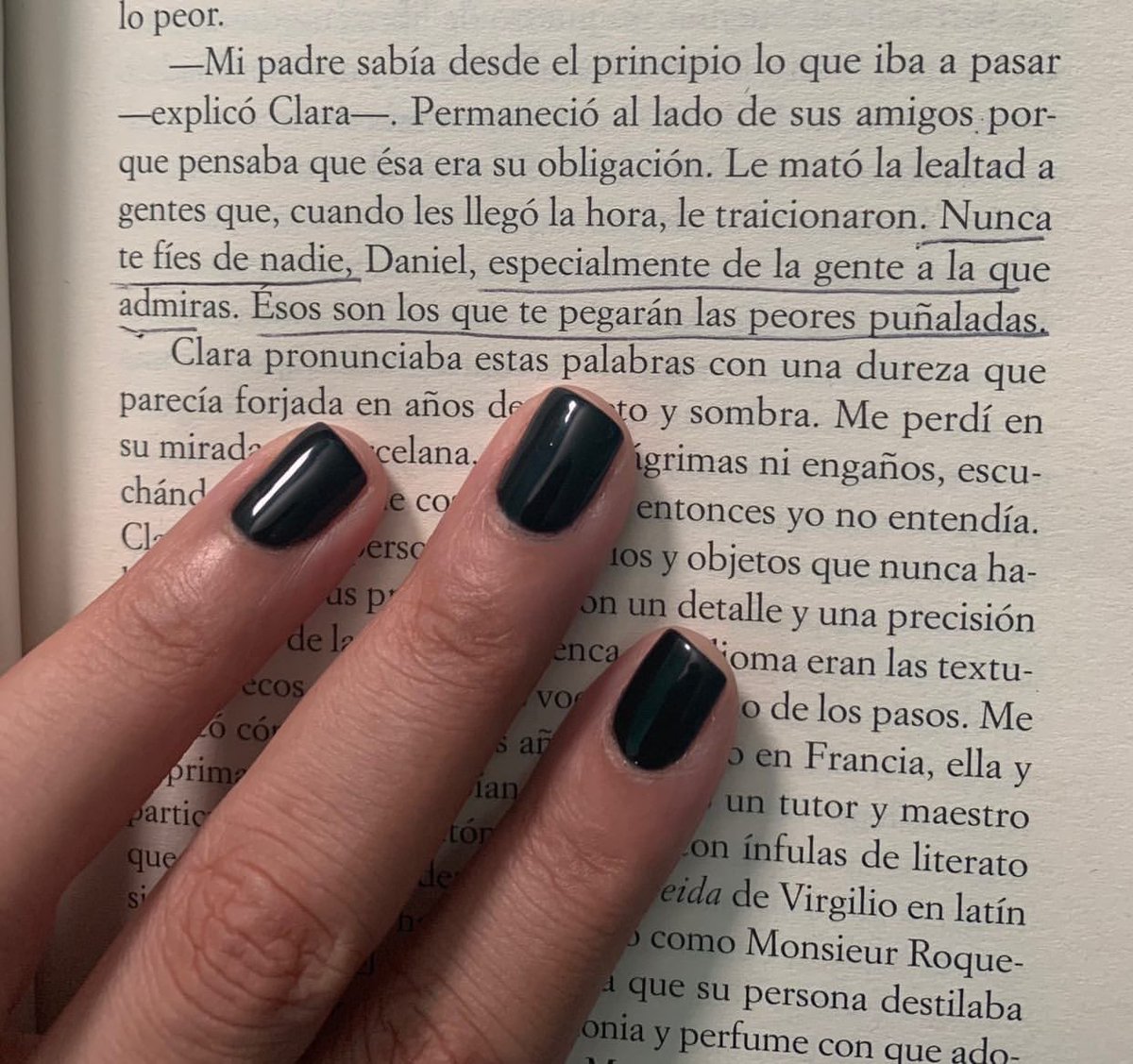 “Nunca te fíes de nadie, especialmente de la gente a la que más admiras. Esos son los que te pegarán las peores puñaladas “
Libro: La sombra del viento
Autor: Carlos Ruiz Zafón
#cementeriodelibros