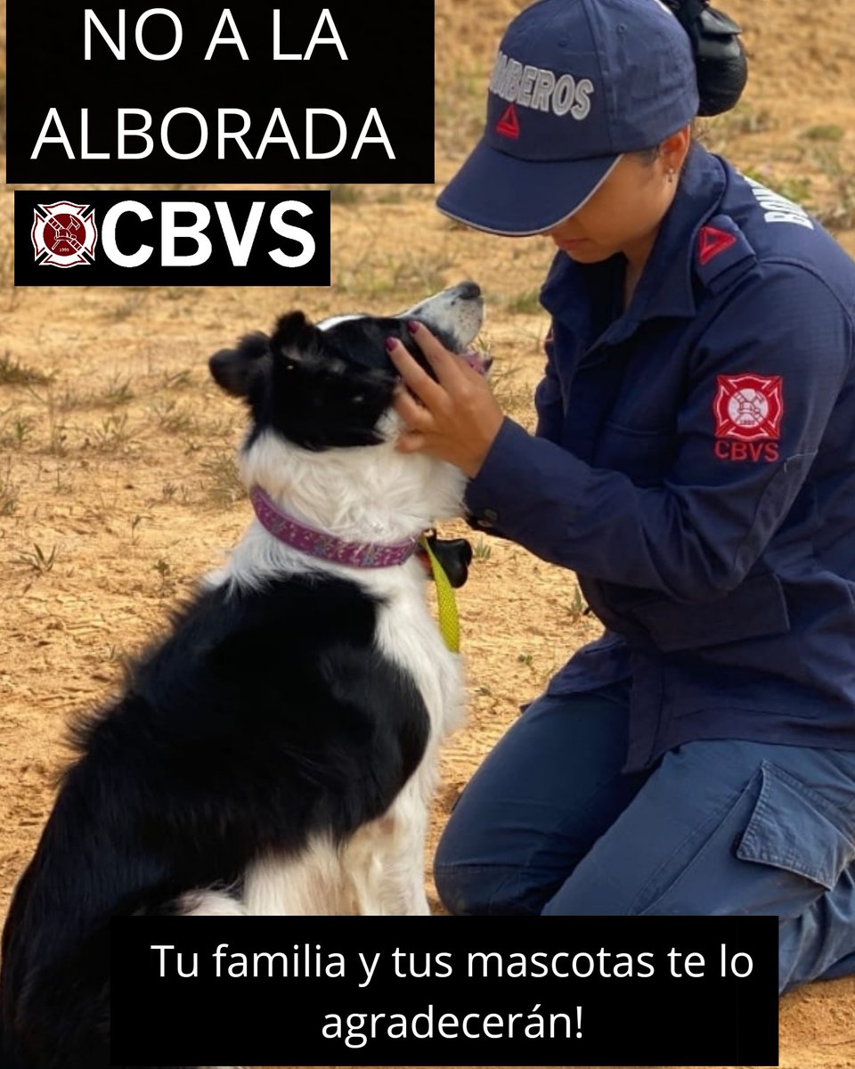 CBVSabaneta's tweet photo. Por tu familia, por tus mascotas, te pedimos decir no a la alborada con pólvora. Ellas te lo agradecerán.

#BomberosSabaneta https://t.co/2WRq603wNK