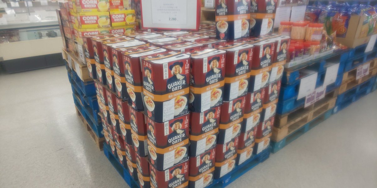 ミニコス桔梗 (@wW6kZsWNwDA9RVL) / Posts / X