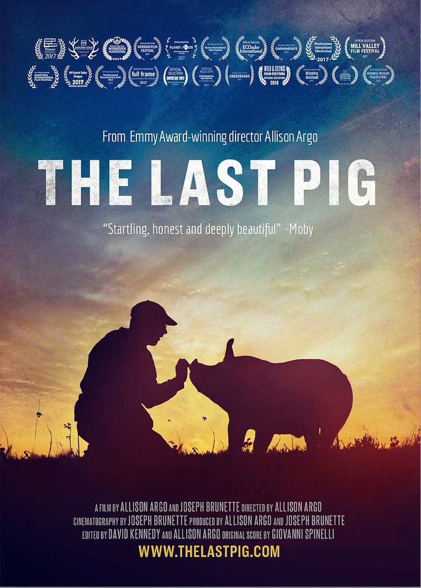 🐽 Join us on December 4 at 7 PM EST for a live panel discussion featuring @TheLastPigFilm director Allison Argo!
Register for the live panel discussion HERE ⬇️ https://t.co/xNaC8lGWVf
#pigs #animals #vegan https://t.co/sBDYK4z4tv