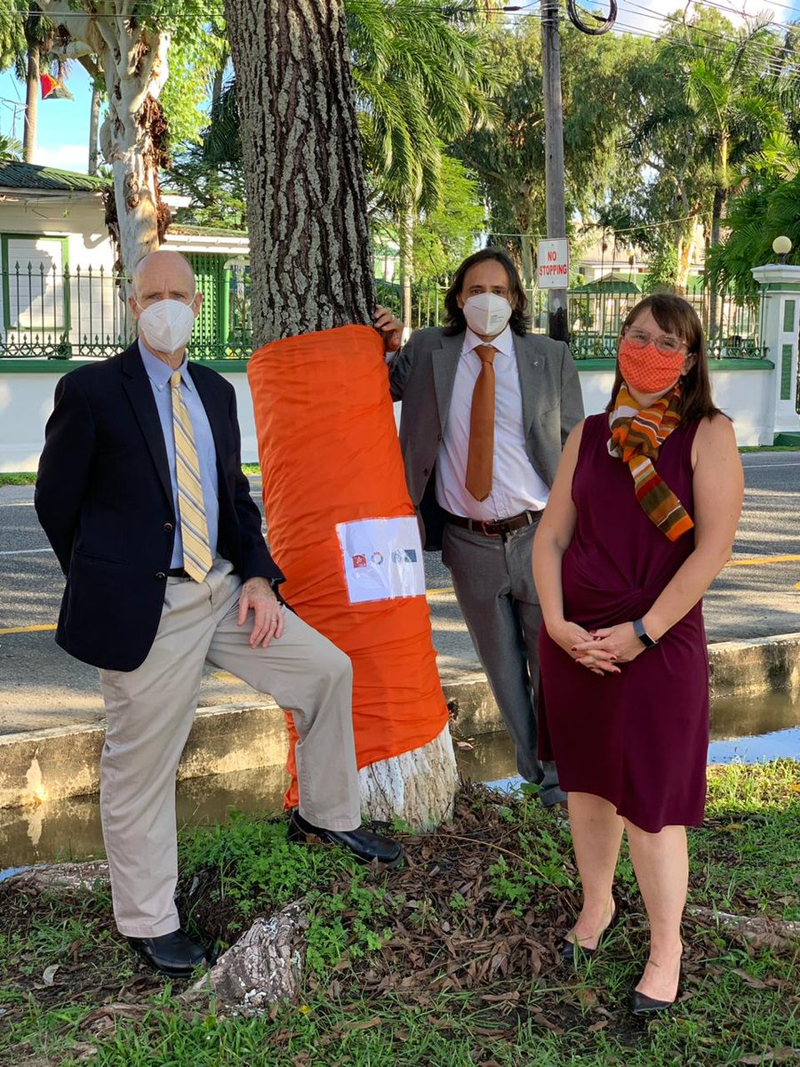 Today we continued to #orangetheworld by hosting a tree wrapping exercise with @j9cocker from the High Commission, H.E. @aryaaligy, Hon. Minister, Dr. Vindya Persaud, Mr. Robert Natiello from @UNGuyana & Mr. Federico Suarez from @DELGUYGEO
#16daysofactivism
@LilianCGAC