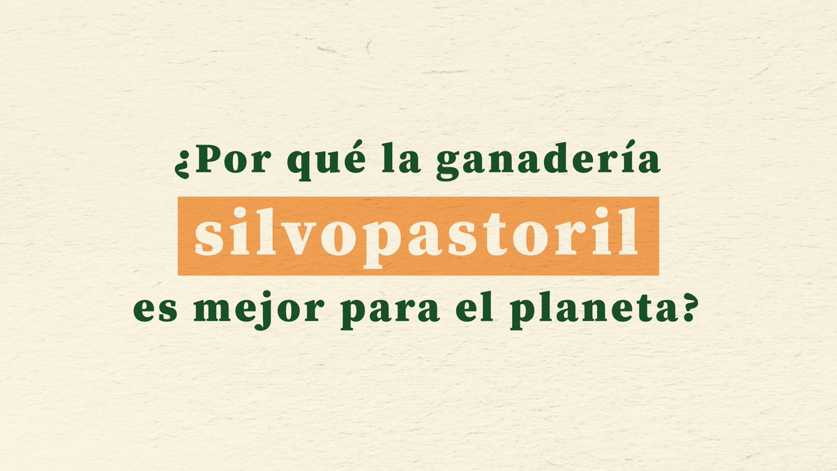 BocadilloSOS's tweet photo. https://t.co/RKno8oEEVZ
