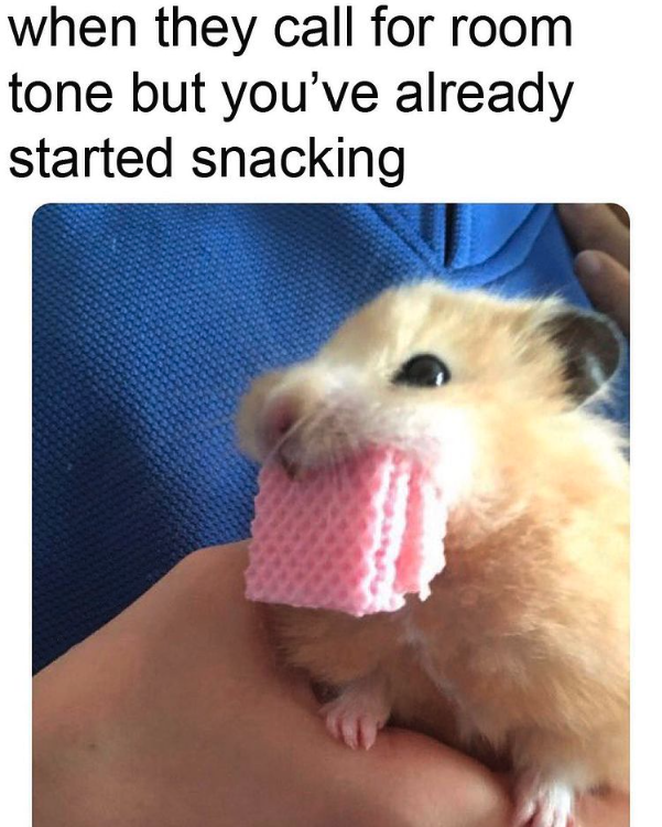 Indy Mogul tweet media