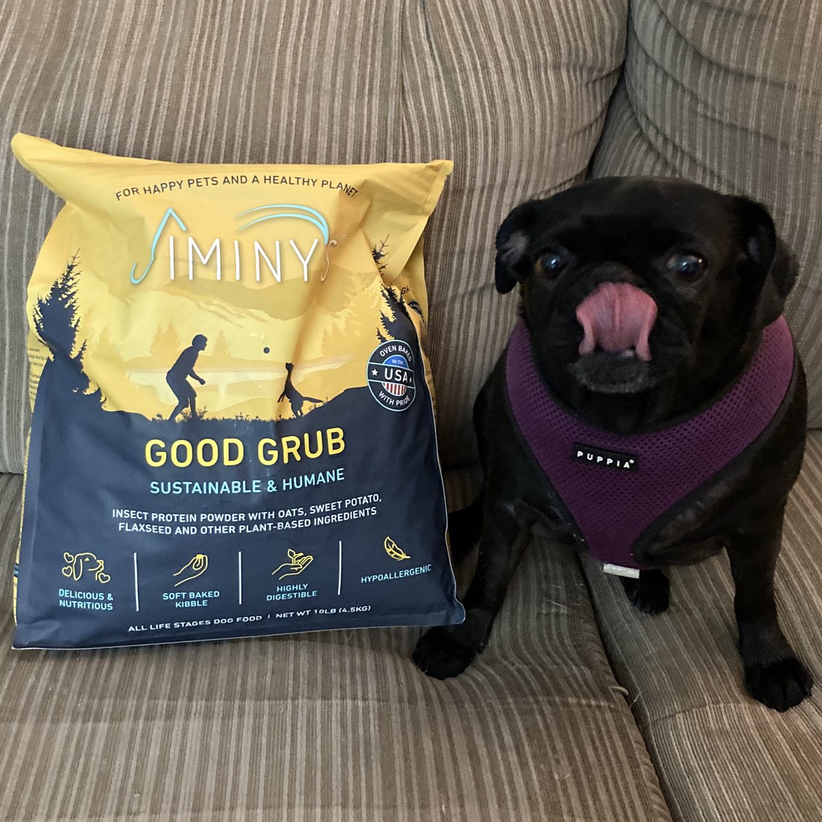 RescuedPug's tweet photo. I am looking forward to trying @jiminysforpets!  Sustainable farming practices are very important to my family and insect protein is a great solution for our planet's future!  Thanks for the recommendation @SomeMoreNews  @katystoll and @drmistercody ! https://t.co/Znpooj5ycq