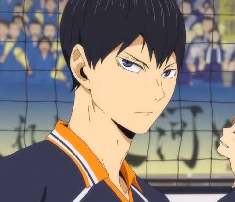 The densest metal known by men: Osmium