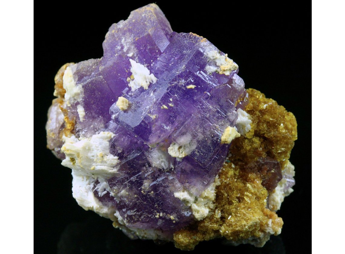 A lumpy mineral that is primarily a translucent grape-purple mineral with a few opaque matte white chunks resting on a cluster of granular honey-yellow crystals
