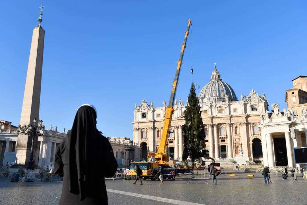 Pohon Natal Vatikan tiba di Lapangan Santo Petrus!

Tahun ini pohonnya berasal dari Slovenia

Pohon ini melambangkan "hidup kekal", krn pd umumnya di musim salju hampir semua pohon rontok daunnya, kecuali cemara yg selalu hijau daunnya. Ia juga melambangkan kebahagiaan &amp; harapan