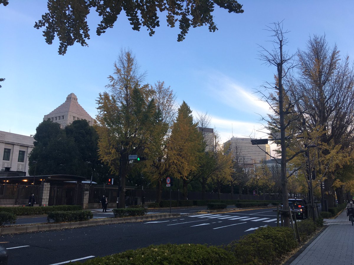 昨日、日本学術会議会員任命拒否に関する院内集会に参加してきました。元TBSアナウンサーで現立憲民主党杉尾秀哉参議院議員や東京新聞の望月衣塑子記者、大学院生他、迫力あるスピーチが続きました。
気がつけばもうイチョウも散る季節です。#日本学術会議、#望月衣塑子、#立憲民主党 https://t.co/KEwm25m5PG