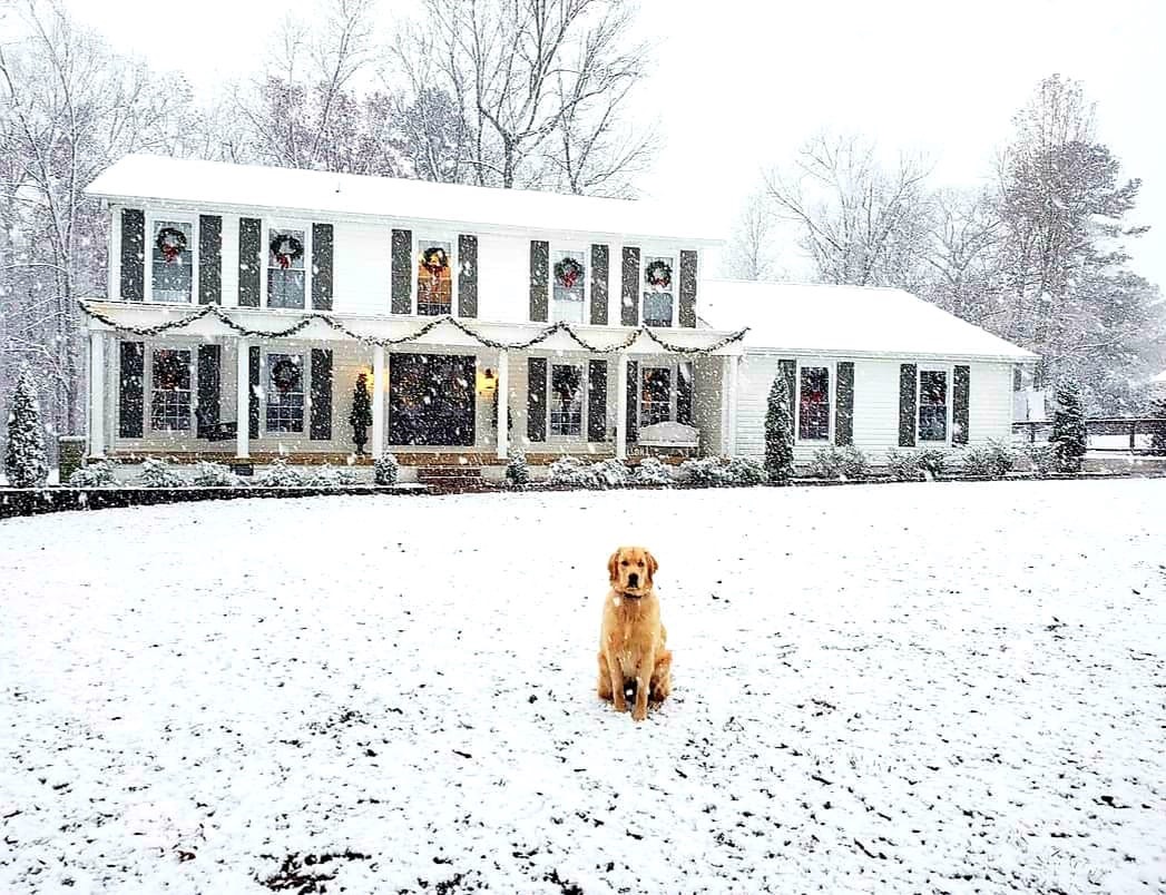 Photo taken today in Arab by Amber Nelson