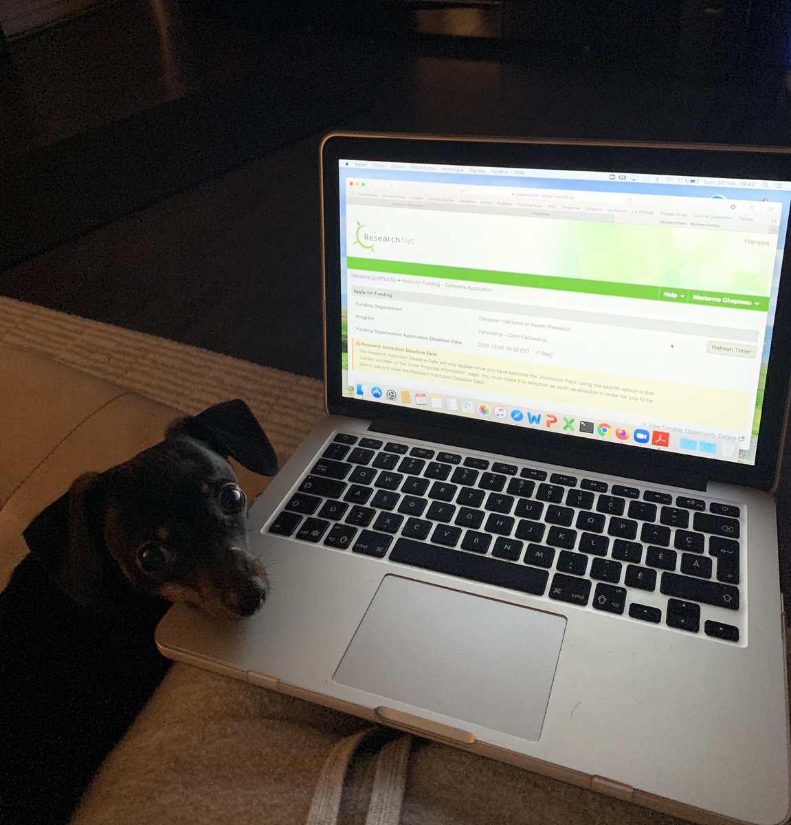 M_Chapleau's tweet photo. This look means “Stop working now please”. @CIHR_IRSC #postdocapplications #littlehelper https://t.co/gIAqau6Iku