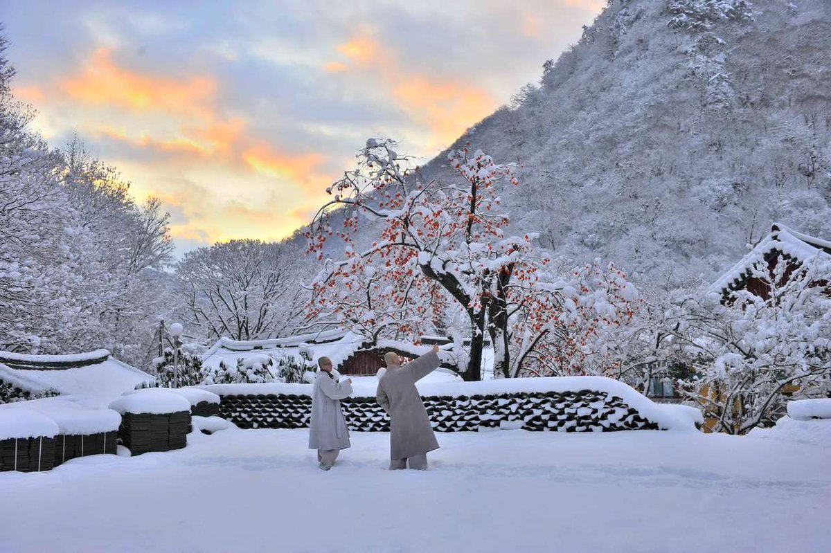 Twittkto 今日から12月 今年は予定していた韓国旅行が出来なかった方もたくさんいらっしゃると思いますが いつか来る明るい未来のために もう少しだけ頑張りましょう 冬の韓国は寒さが厳しいですが この時期だからこそ見れる韓国の美しい景色をお届け