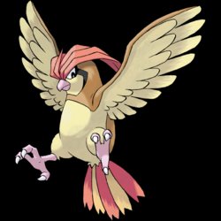 LimitedPokeFact's tweet photo. Pidgeotto is the only Pokémon with a base stat total of 349 https://t.co/1ZvpFvVBXT