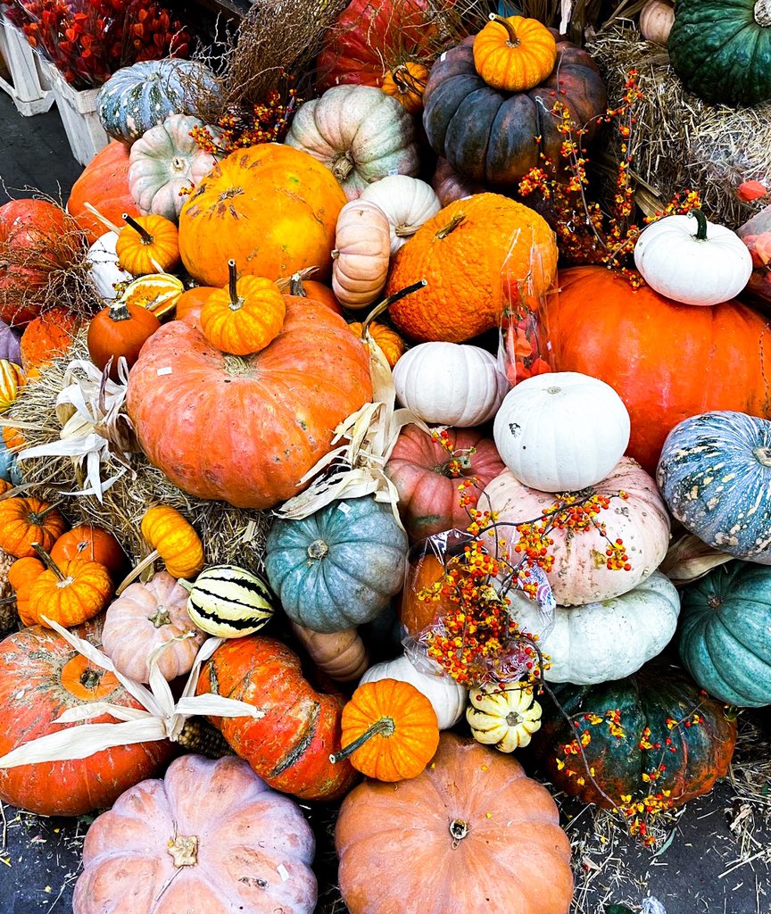 SoCalFlowerMrkt's tweet photo. 🎃🎃🎃 https://t.co/r4t8IFf7um