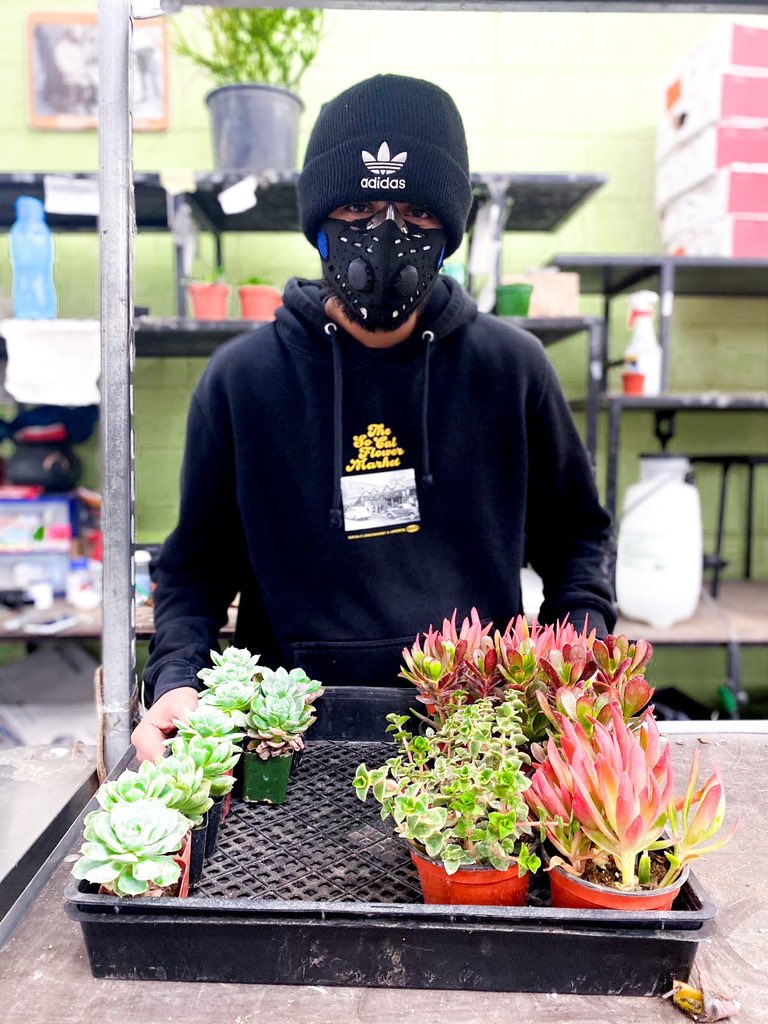 SoCalFlowerMrkt's tweet photo. 🎃🎃🎃 https://t.co/r4t8IFf7um