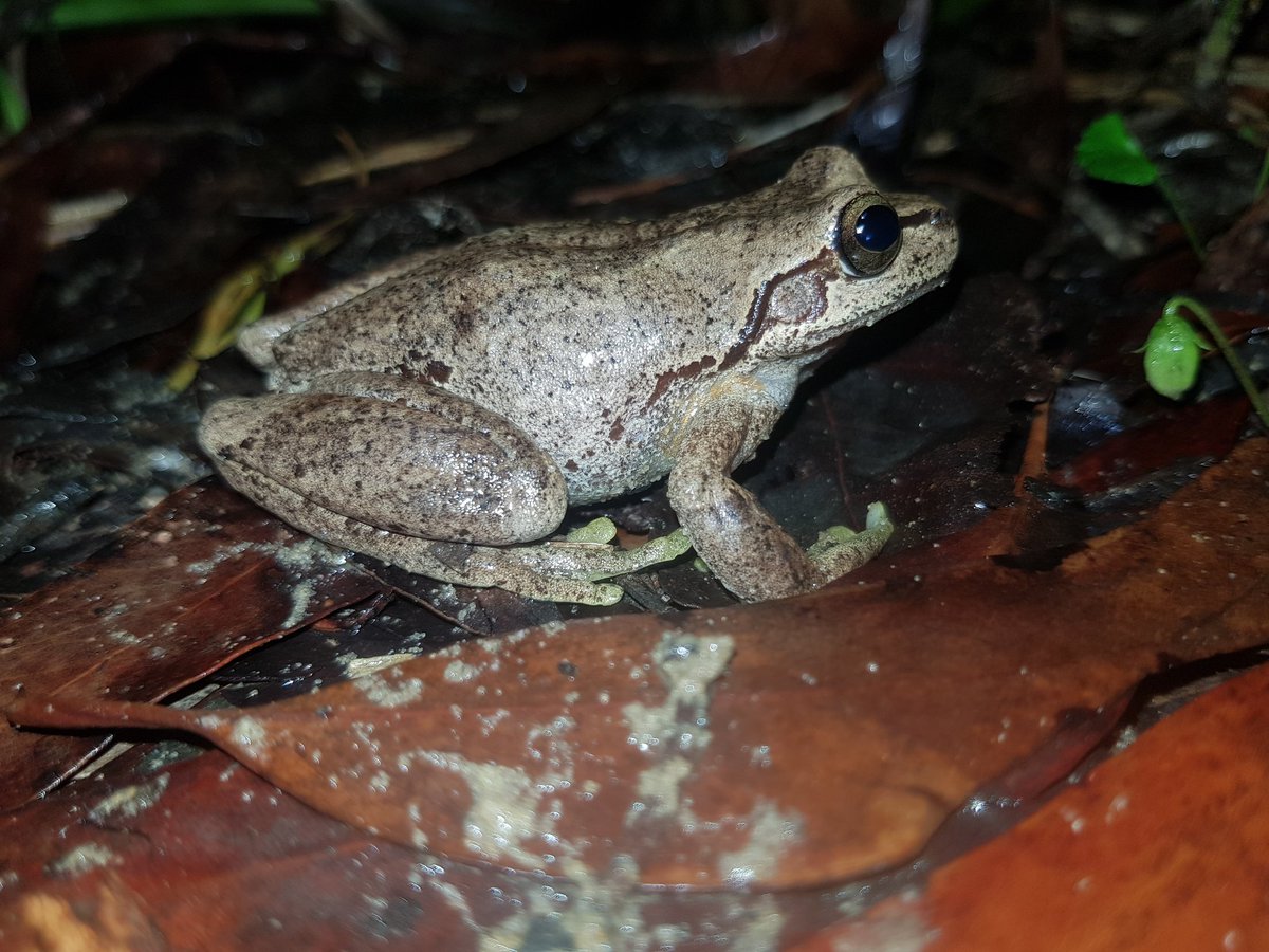 Sarah Stock tweet media