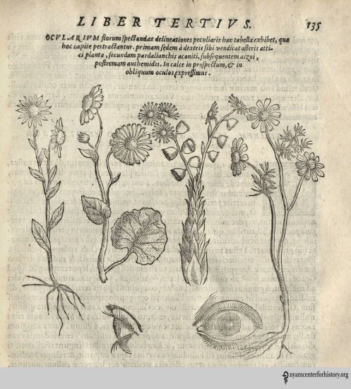 Stone was a believer in Galenic “Doctrine of Signatures”: the shape of a plant offers clue to its medicine use. As botanist William Coles (1626–1662) wrote, “God made 'Herbes for the use of men, and hath given them particular Signatures, whereby a man may read the use of them.”/5