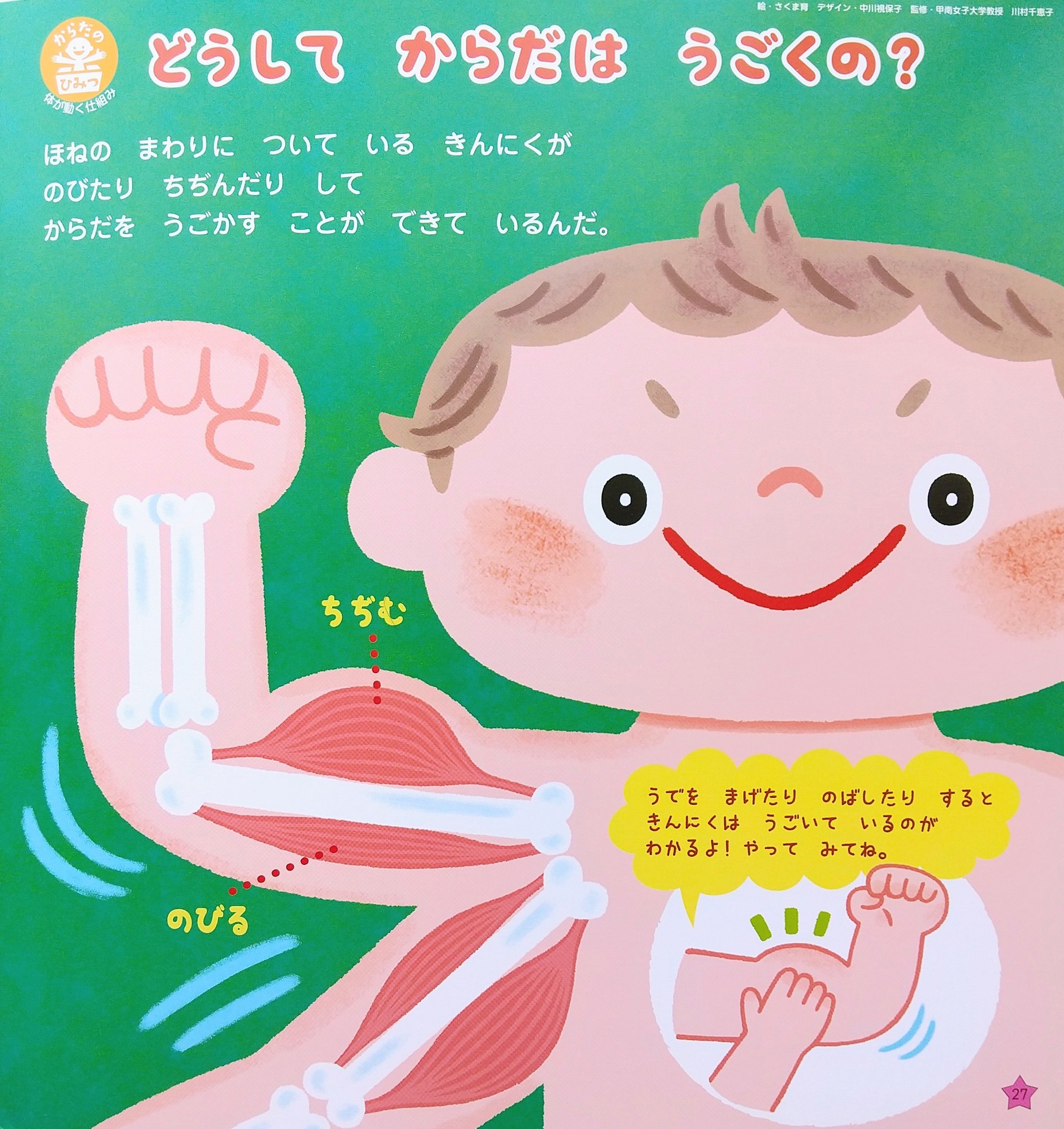 さくま育 イラストレーター こどもとしぜん １２月号 ひかりのくに様 からだのひみつコーナーのイラストを担当させて頂いております 今月は筋肉 筋肉の伸び縮みでからだを動かせているんだね T Co Tmxxrihuem Twitter