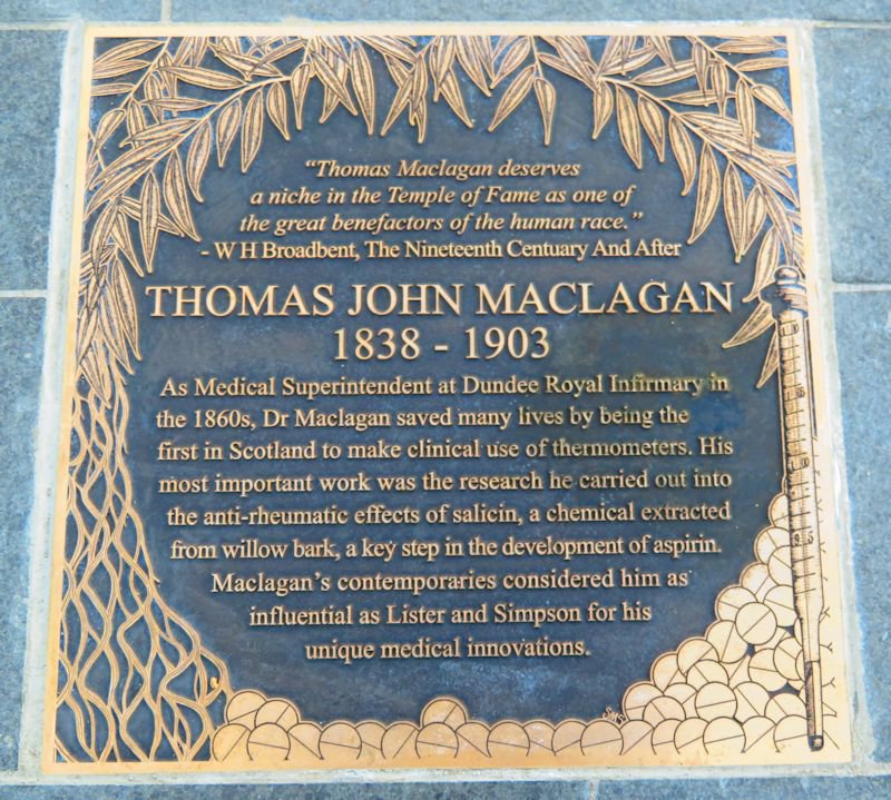 The first clinical trial of salicin was published in 1876 by Thomas Maclagan (1838–1903) from the Dundee Royal Infirmary in Scotland. In the grand tradition of self-experimentation, Maclagan first tried the drug on himself... /10