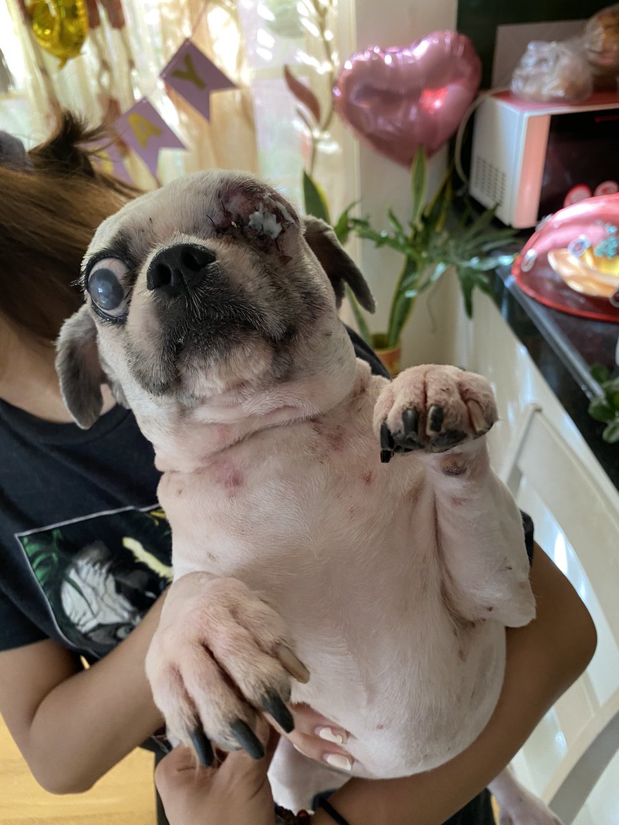 bella_dada92's tweet image. Good morning  daw po from this strong bebeboy! #postoperation