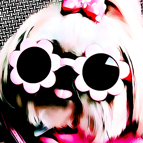 ๐ฎ๐๐
๐๐๐๐๐๐ (logout) tweet media