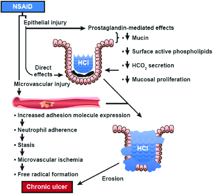 Anyway, back to aspirin. In the 1930s aspirin began to fall out of favor a bit as a treatment for fever/pain, because endoscopy was regularly performed, gastritis and was noticed routinely in people taking aspirin. (Image: Lavie C et al, Current Problems in Cardiology 2017) /30