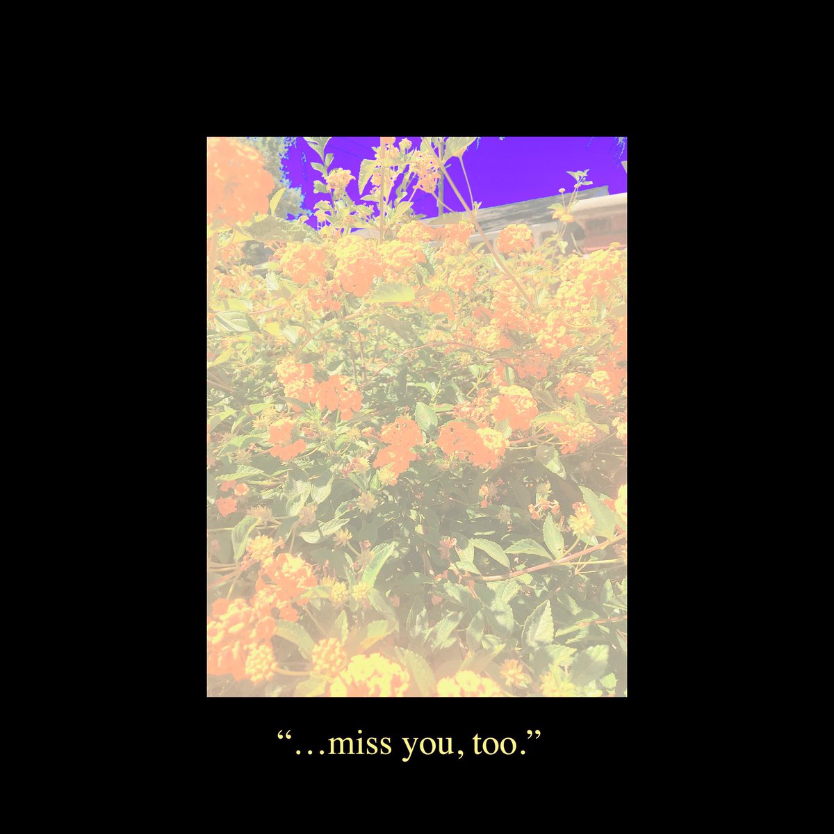 hexfaceWAV's tweet photo. New album on @Bandcamp ! It is the first episode in the Miss You, Too series of songs I wrote about @gavin_not_gavin (my partner.) I have a few free download codes if anyone wants to message me for one! #music #indiepop #lesbian #cute #girlfriend #album 

https://t.co/Myi0qUqEKg https://t.co/9wMwKUdsDC