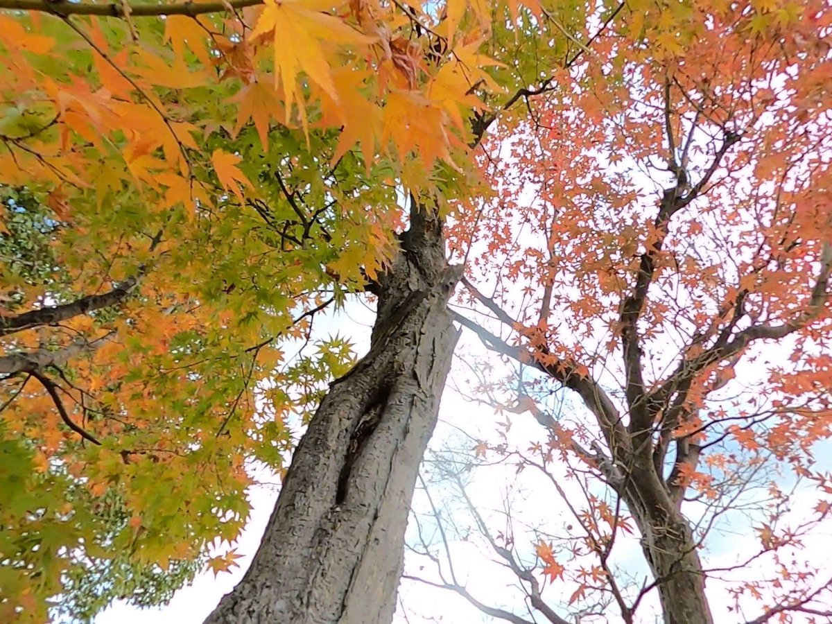 あい 体調も良くなり 1年ぶりのラウンド ロペキャップで ゴルフ女子 ゴルフ好きと繋がりたい ゴルフ ワールドカントリー ワールド牧場 ロペライオ ロペキャップ 川久保さ ん見て見て