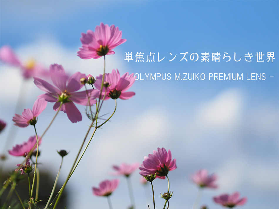 ついに入荷 スーパーツール 精密バイス 210×90×80 90×115×40 SPV115 工具・作業用具 スーパーツール 精密バイス(210×90×80、90×115×40) SPV115