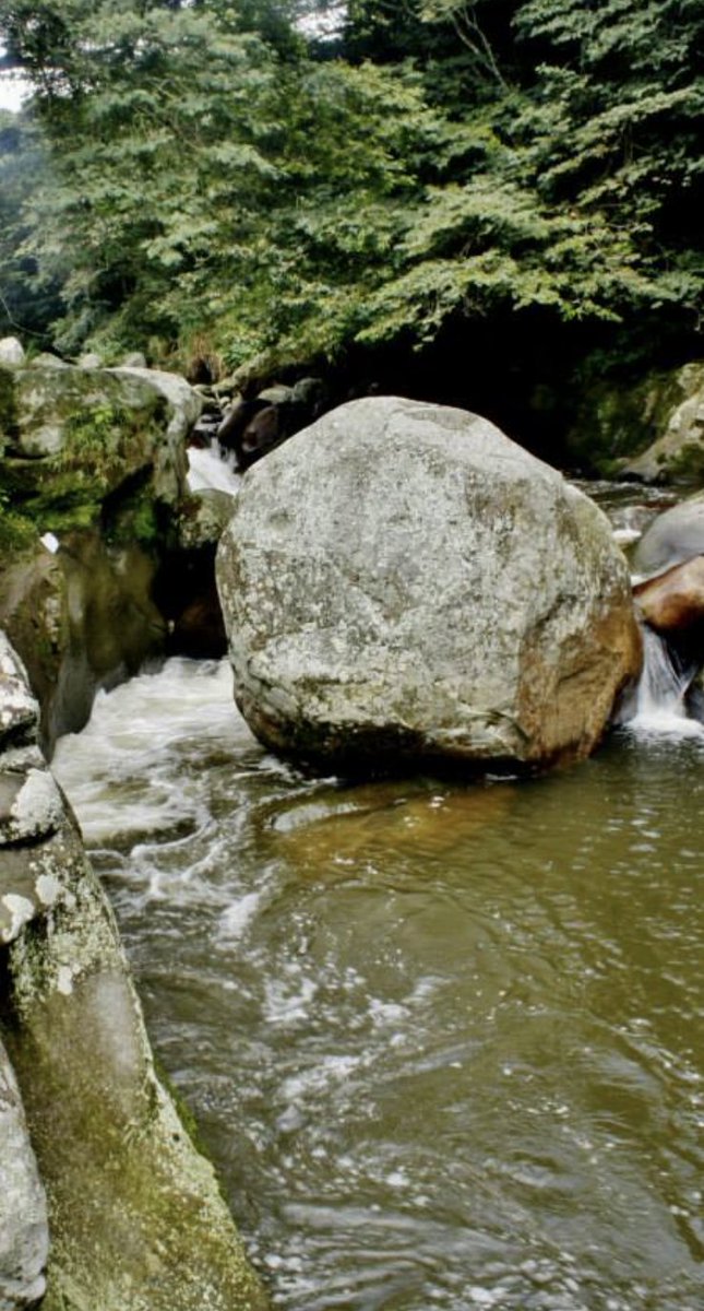 Mauryn_R's tweet photo. @CervezaAguila #VOLVAMOS al río de fusa https://t.co/BdjmL868iR