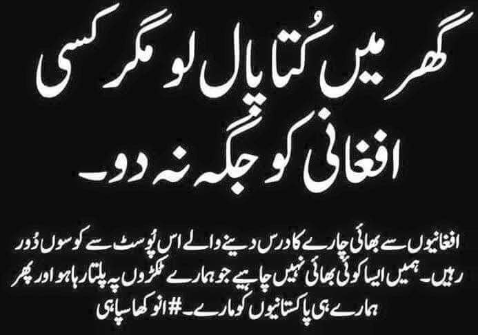 ⁦❤️⁩ پٹھان ❤️ tweet media