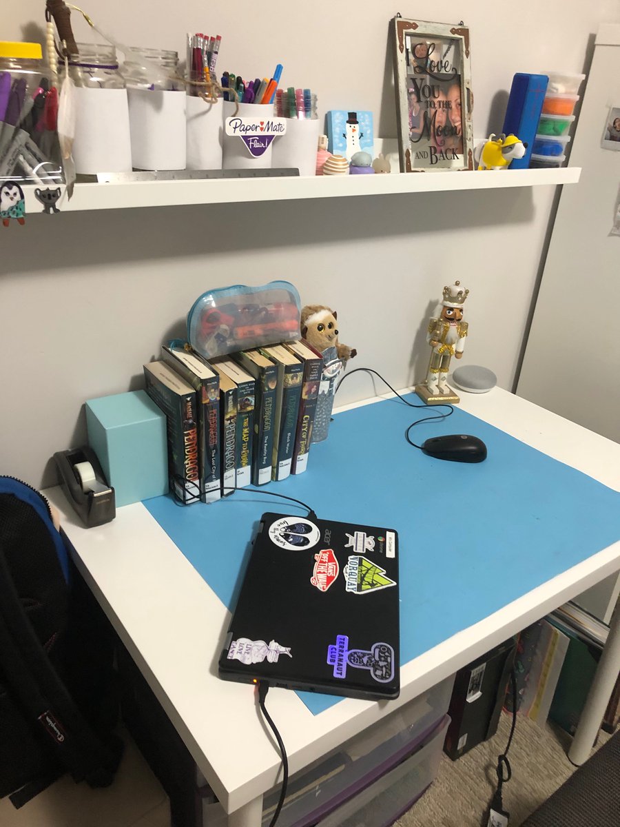 BishopSTEM29's tweet image. If you have to go to school online, it is super important to have a space dedicated to the school day. @EcoleMcTavish @FMPSD #fmpsdlearningathome #ablearningathome