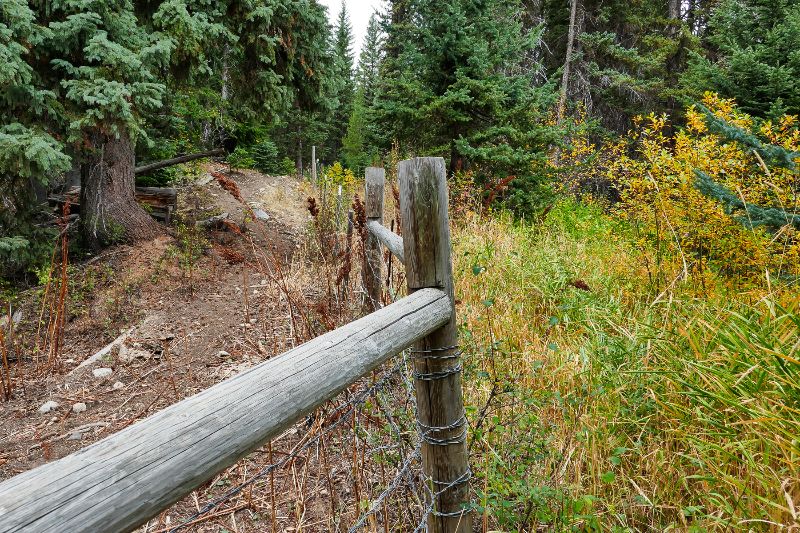 Comment Deadline on the Twisp Restoration Project Extended To Friday, December 18th 🌲 - Learn how you can comment on the Twisp Restoration Project, Save the Date for the next Climate Action Plan forum and more in our latest e-news! mailchi.mp/mvcitizens/nov…