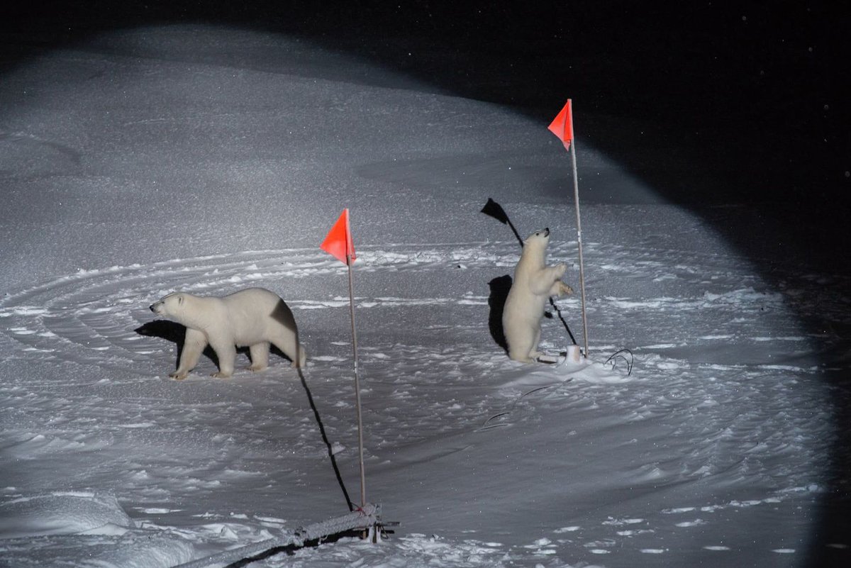 eldiarioCultura's tweet image. El @WorldPressPhoto 2020 llega al @cececebe y, con él, las instantáneas del certamen de fotoperiodismo más importante del mundo  eldiario.es/cultura/exposi…