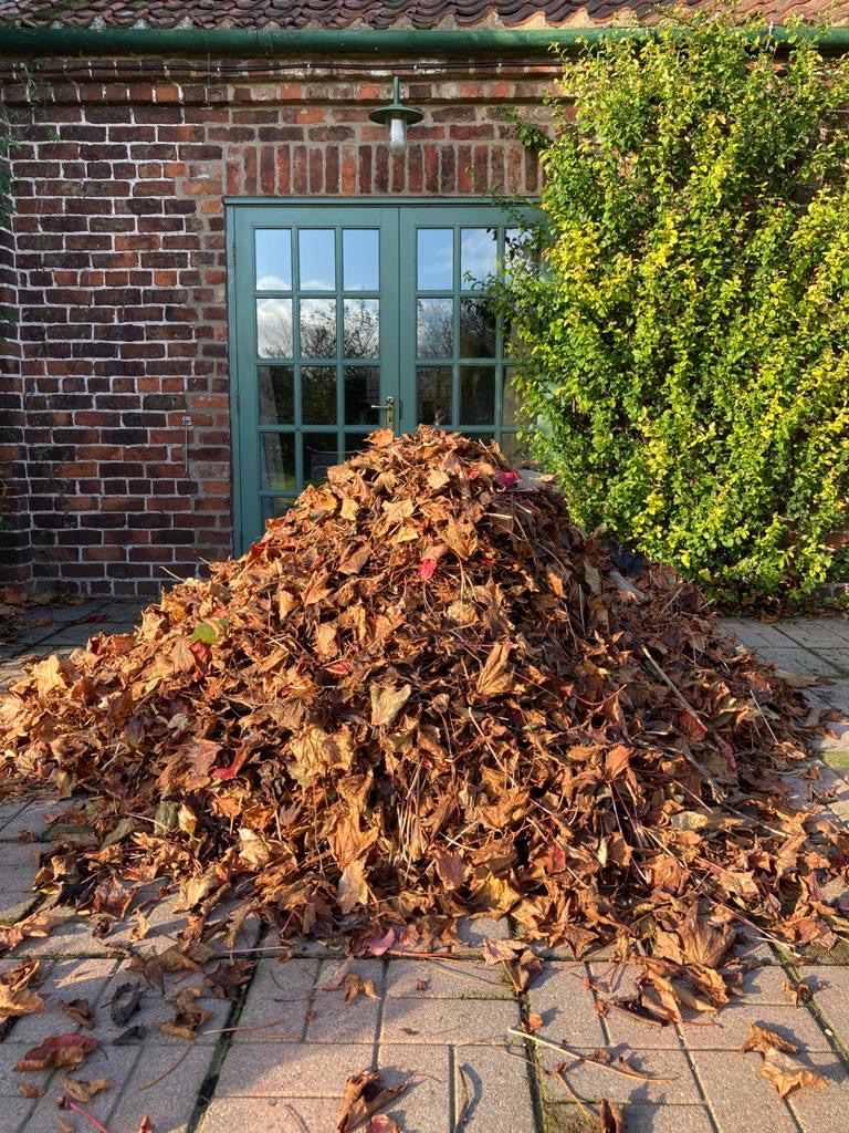 HeritageEscapes (@heritageescapes) on Twitter photo Autumn tasks keep piling up! How we miss #GardenersWorld to keep us on our toes! How do the #gardeners at all the beautiful Yorkshire stately homes <a href="/BurtonAgnesHall/">Burton Agnes Hall, Gardens & Jazz & Blues Festival</a> <a href="/SledmereHouse/">Sledmere House</a> <a href="/CastleHowardEst/">Castle Howard</a> <a href="/RHSHarlowCarr/">RHS Harlow Carr</a> keep on top of all their jobs? Autumn tasks keep piling up! How we miss #GardenersWorld to keep us on our toes! How do the #gardeners at all the beautiful Yorkshire stately homes <a href="/BurtonAgnesHall/">Burton Agnes Hall, Gardens & Jazz & Blues Festival</a> <a href="/SledmereHouse/">Sledmere House</a> <a href="/CastleHowardEst/">Castle Howard</a> <a href="/RHSHarlowCarr/">RHS Harlow Carr</a> keep on top of all their jobs?