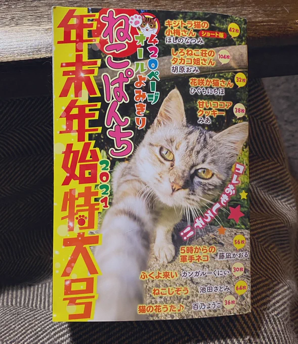 本日発売のねこぱんち年末年始特大号にて花咲か猫さん4話分が再録されております。作者が描いた覚えのないものがあったりなかったり。新鮮!よろしくお願いいたします! 