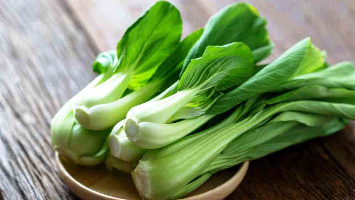 Pasa Skudai Auf Twitter 5 Sawi Tinggi Kandungan Vitamin A Yang Terkenal Amat Bagus Untuk Kesihatan Mata Twitter