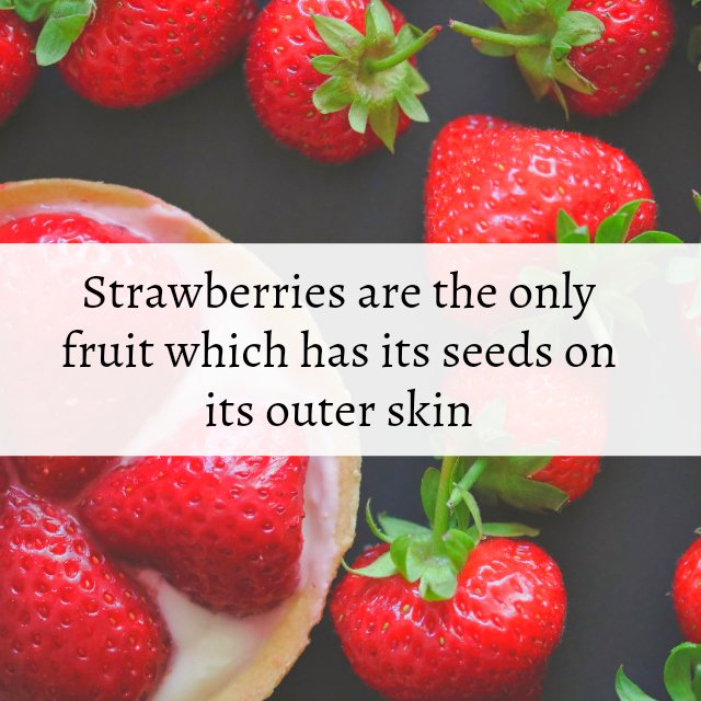 SearchOfTaste's tweet photo. Did u know about these food facts?🤔
#foodfacts #Facts
@McBrideWriter @DGustatory @DelicesSucre @BearFoodKitchen @ChefVic5 @CallieCraves @TheCannedCook @JojoSekri @re_hungry @EatTasty @sak_shoes @BirHome @AwesomeDadi @ChefStaph @CooklovePasta @IdahNielsen @rosella8949 @ChefMoly https://t.co/OWaKrTBuxo