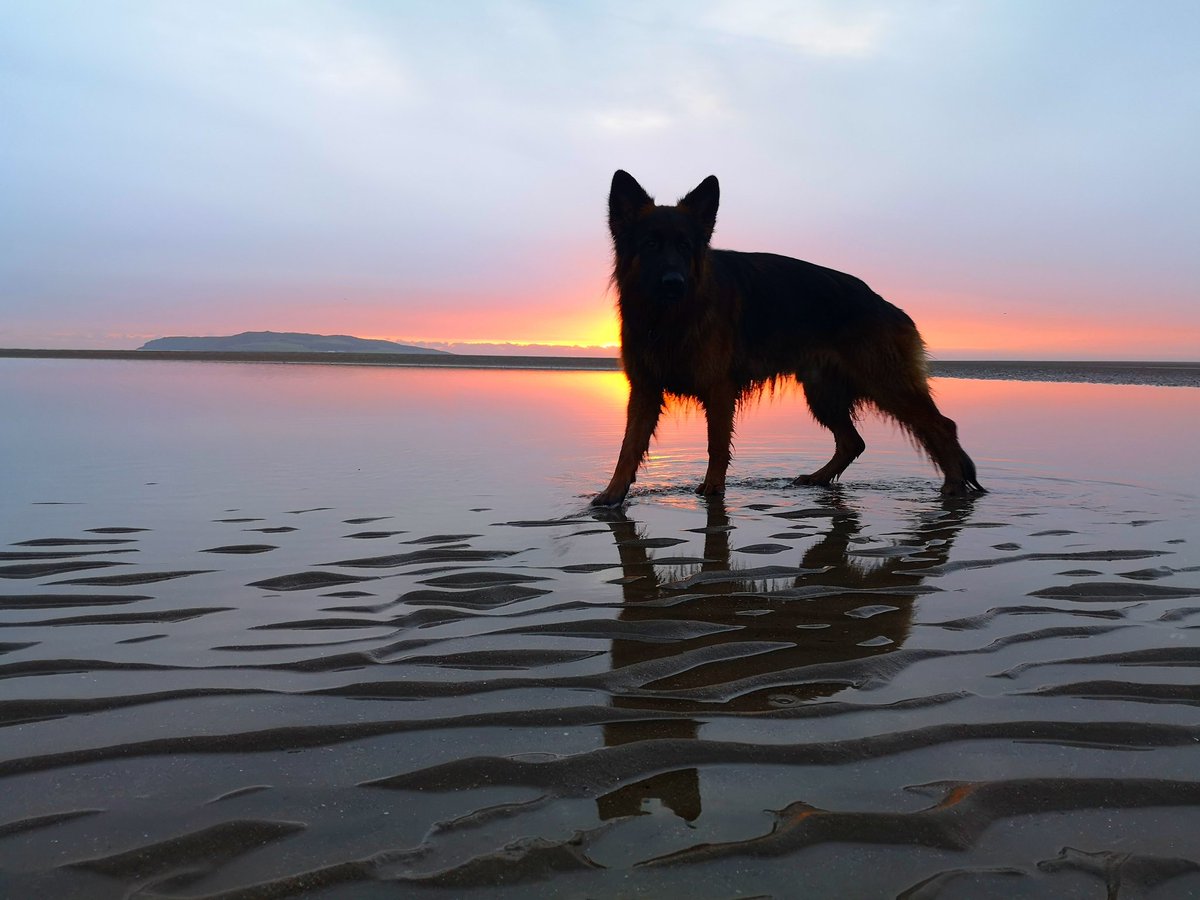 NuaPhoto's tweet photo. He is rocking level 3 sunrise on #rushbeach #irishsunrise #level3dublin #gsd #northcodublin #fingal https://t.co/3NqYVQkET7