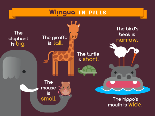 Grow your vocabulary with words about size! Try out some of these simple opposites.  #englishlesson #aprenderinglés #inglés #aprenderinglés #inglésfácil #cursoinglés #Englischlernen #apprendreanglais #aprenderinglês
