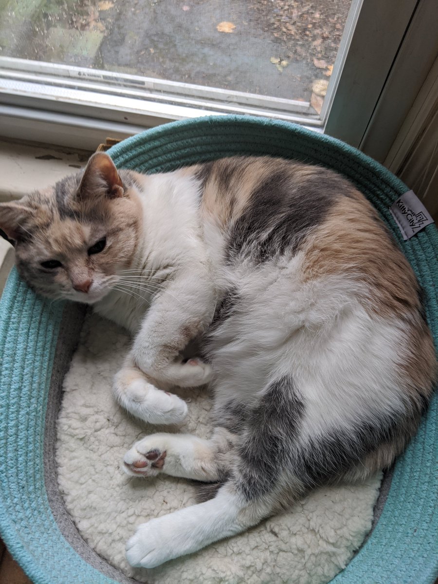 bluegreg's tweet image. .@McDonalds and the hashtag #Shave4McRibSweepstakes