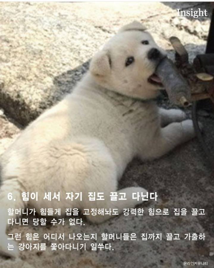 00trsjh's tweet photo. https://t.co/S81E2us2Lq