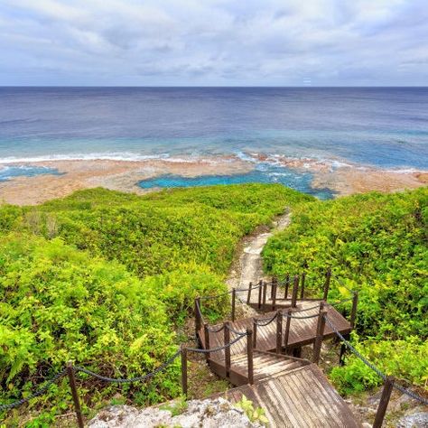 theNuRomantics's tweet image. It&apos;s #humpdayhaiku Let&apos;s write some haiku today, using this image as inspiration. 

#NRRTG #WritingPrompt #Poetry #PoetryCommunity