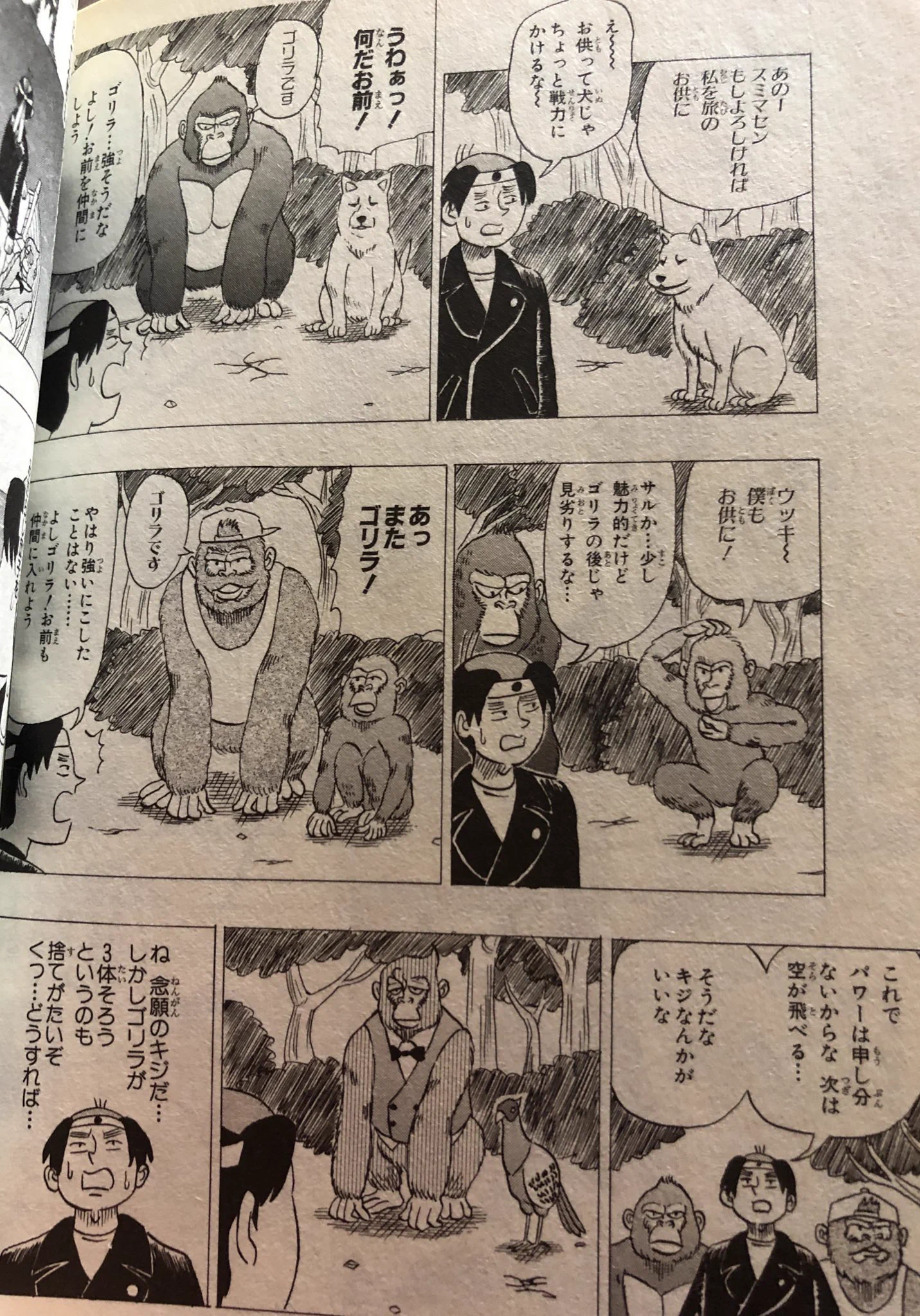 わっしょい!わじマニア 津尾 尋華 on X: 
